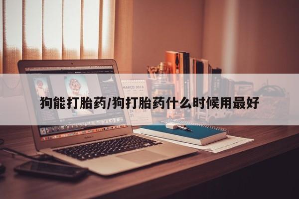 第219页