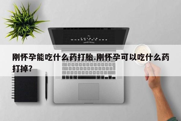 米索前列醇在线下单刚怀孕能吃什么药打胎.刚怀孕可以吃什么药打掉？